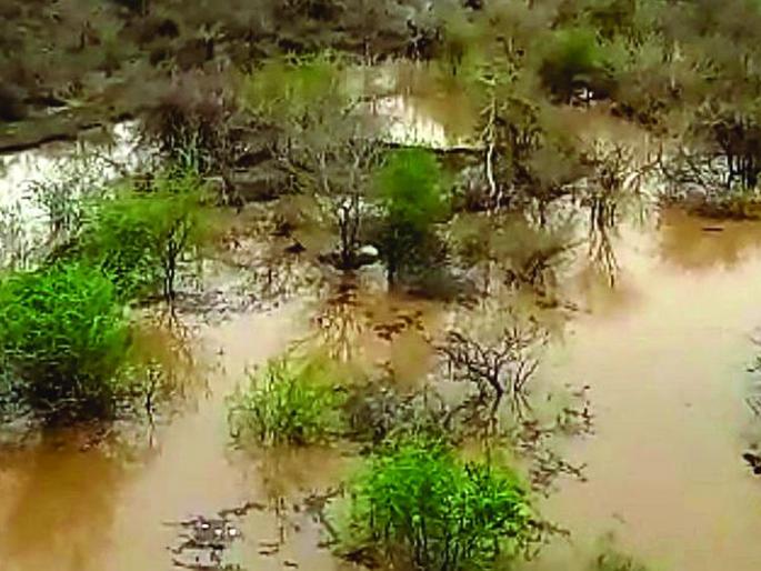 Start of lodging water in the lower Gyan Ganga project | निम्न ज्ञानगंगा प्रकल्पात पाणी अडवण्यास सुरवात