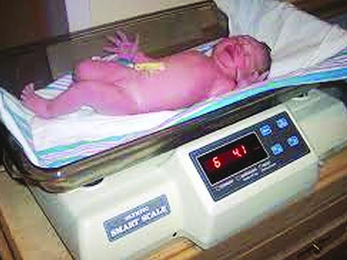 Improper weight thorns increased the weight of malnourished children | नादुरूस्त वजन काट्यांनी वाढवले कुपोषित बालकांचे वजन Improper weight thorns increased the weight of malnourished children | नादुरूस्त वजन काट्यांनी वाढवले कुपोषित बालकांचे वजन