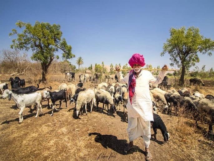 Don't be afraid of plans, reservation is required: Reservation Coordination Committee | योजनांची भीक नको, आरक्षणच हवे : आरक्षण समन्वय समिती आंदोलनावर ठाम Don't be afraid of plans, reservation is required: Reservation Coordination Committee | योजनांची भीक नको, आरक्षणच हवे : आरक्षण समन्वय समिती आंदोलनावर ठाम