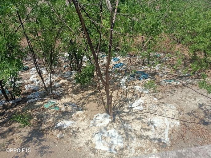 Disrupt the beauty of Naigaon Ghat | नायगाव घाटाच्या सौंदर्याला बाधा Disrupt the beauty of Naigaon Ghat | नायगाव घाटाच्या सौंदर्याला बाधा