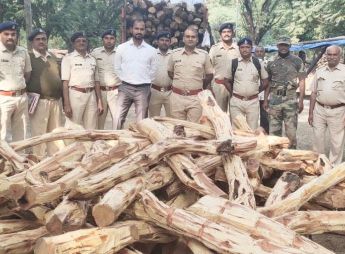 Illegal wood seized from Navapur taluka | नवापूर तालुक्यातून अवैध लाकूड जप्त