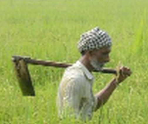 Allocated five per cent more crop loans this year than last year | गेल्या वर्षाच्या तुलनेत यंदा पाच टक्के जादा पीक कर्ज वाटप Allocated five per cent more crop loans this year than last year | गेल्या वर्षाच्या तुलनेत यंदा पाच टक्के जादा पीक कर्ज वाटप