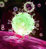 Cross the eighth century of the number of victims in the book | चोपड्यात बाधितांच्या संख्येचे आठवे शतक पार Cross the eighth century of the number of victims in the book | चोपड्यात बाधितांच्या संख्येचे आठवे शतक पार