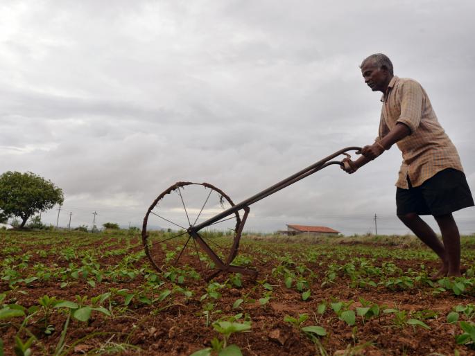 Runny rain rains! | दडी मारलेला पाऊस बरसू लागला ! Runny rain rains! | दडी मारलेला पाऊस बरसू लागला !