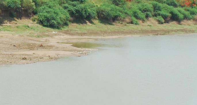 Parbhani: The milk with Yeladri is also dead | परभणी : येलदरीसह निम्न दुधनाही मृतसाठ्यात Parbhani: The milk with Yeladri is also dead | परभणी : येलदरीसह निम्न दुधनाही मृतसाठ्यात