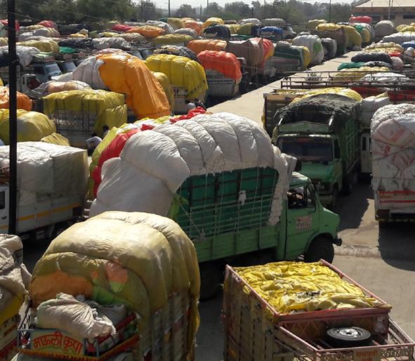 Parbhani: Cotton prices rose in the Seloo Market Committee | परभणी: सेलू बाजार समितीत कापसाचे भाव वधारले Parbhani: Cotton prices rose in the Seloo Market Committee | परभणी: सेलू बाजार समितीत कापसाचे भाव वधारले