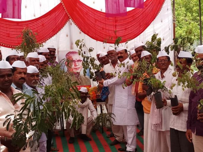 If we plant the trees, then forgive the house | झाडांचे संगोपन केल्यास घरपट्टी माफ If we plant the trees, then forgive the house | झाडांचे संगोपन केल्यास घरपट्टी माफ