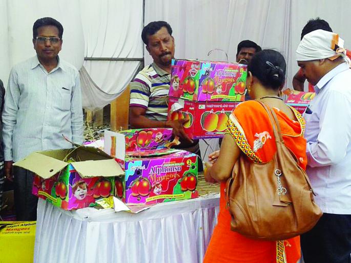 Ratnagiri: Significant sales of three thousand dozen hapus in three days | रत्नागिरी : तीन दिवसांत तीन हजार डझन हापूसची लक्षणीय विक्री Ratnagiri: Significant sales of three thousand dozen hapus in three days | रत्नागिरी : तीन दिवसांत तीन हजार डझन हापूसची लक्षणीय विक्री