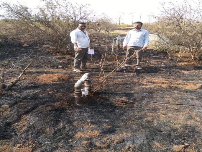 Four acres of pomegranate garden burnt due to short circuits | शॉर्टसर्किटमुळे चार एकर डाळिंब बाग जळून खाक