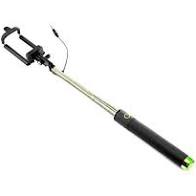 Selfie with the calf! | बछड्यासंगे सेल्फी भोवली! Selfie with the calf! | बछड्यासंगे सेल्फी भोवली!