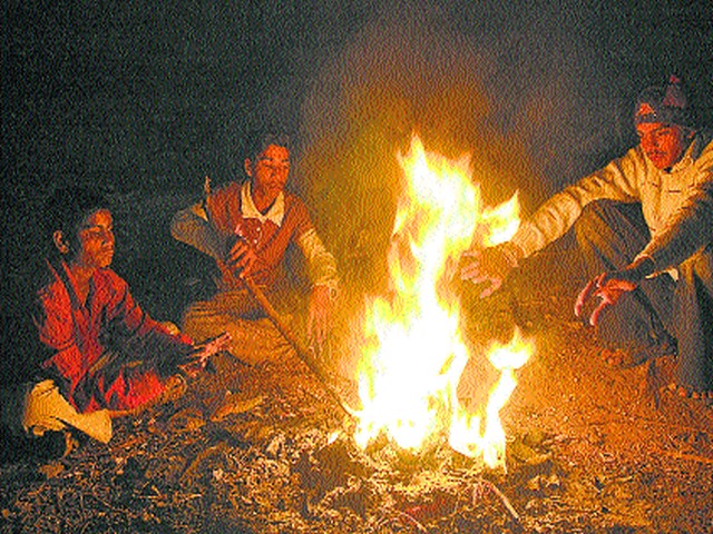 Hoodhoodie in the Nandurshinote area | नांदूरशिंगोटे परिसरात हुडहुडी