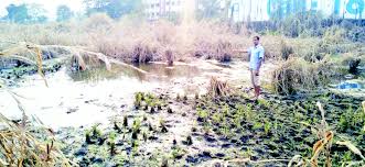 The rains at Bodhe carried away the crops | बोधे येथे पावसाने पिके गेली वाहून The rains at Bodhe carried away the crops | बोधे येथे पावसाने पिके गेली वाहून