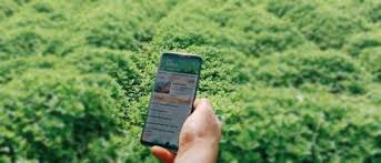 Allocate peak loans to farmers immediately | शेतकऱ्यांना तत्काळ पीककर्ज वाटप करा