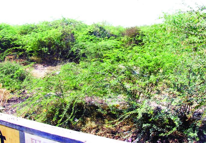 Sangli: ST Approval from ST Workshop, Bus Stations, and Stations in Madhav Nagar | सांगली :माधवनगरला एसटीचे वर्कशॉप, बसस्थानक, एसटी प्रशासनाकडून मंजुरी