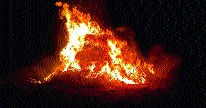 Balmy fire | ठाणगावला चाऱ्याच्या गंजीस आग Balmy fire | ठाणगावला चाऱ्याच्या गंजीस आग