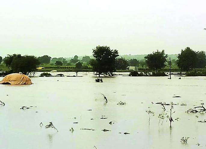 Heavy Rain in washim ; Rivers, irrigation projects! | पावसामुळे दाणादाण; नद्या, सिंचन प्रकल्प तुडूंब! Heavy Rain in washim ; Rivers, irrigation projects! | पावसामुळे दाणादाण; नद्या, सिंचन प्रकल्प तुडूंब!