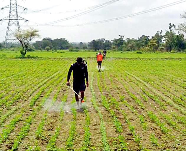 Rainfall decreases, project falls to the bottom | पावसाचा टक्का घटला, प्रकल्प तळाला