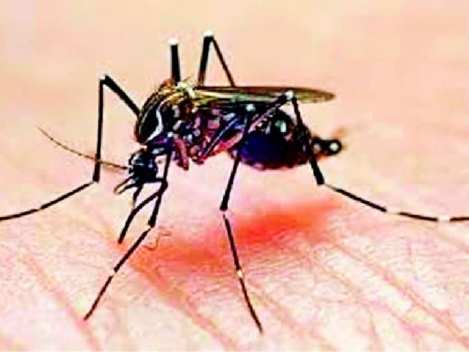 Health department dengue denies single death | आरोग्य विभागाच्या लेखी डेंग्यूने एकच मृत्यू! Health department dengue denies single death | आरोग्य विभागाच्या लेखी डेंग्यूने एकच मृत्यू!