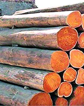  Incentive of farmer for the amount of wood | लाकडाच्या रकमेसाठी शेतकºयाची अडवणूक