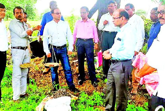 District collector for crop harvesting | पीक कापणीसाठी जिल्हाधिकारी प्रत्यक्ष शेतात