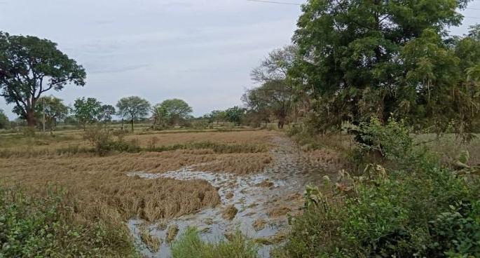 Complete surveys of flooded areas immediately; Collector Thackeray's instructions | पूरग्रस्त भागातील सर्वेक्षण तातडीने पूर्ण करा; जिल्हाधिकारी ठाकरे यांचे निर्देश Complete surveys of flooded areas immediately; Collector Thackeray's instructions | पूरग्रस्त भागातील सर्वेक्षण तातडीने पूर्ण करा; जिल्हाधिकारी ठाकरे यांचे निर्देश