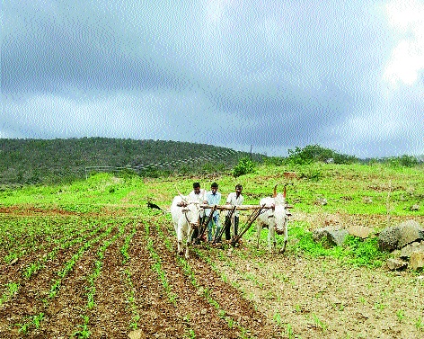 The Aurangabad district is in sight of the sky | औरंगाबाद जिल्ह्याची नजर आभाळाकडे