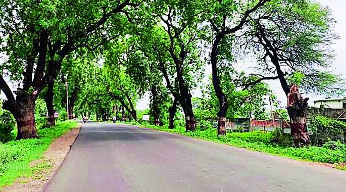 Planning was hijacked by the construction minister on the hands of the Union transport minister | केंद्रीय परिवहन मंत्र्यांनी हात केले वर बांधकाम मंत्र्यांनी पळविले नियोजन