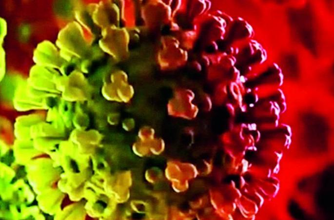 ‘Omycron’, 13 samples to Delhi for testing | ‘ओमायक्रॉन’, तपासणीसाठी १३ नमुने दिल्लीला ‘Omycron’, 13 samples to Delhi for testing | ‘ओमायक्रॉन’, तपासणीसाठी १३ नमुने दिल्लीला