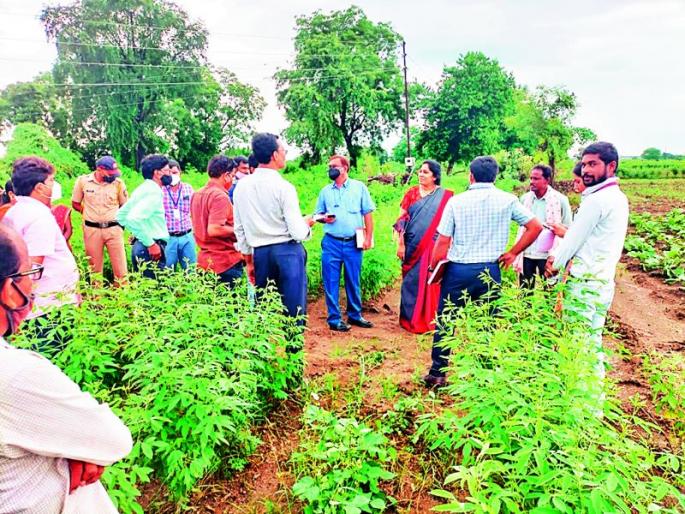 Crop registration on the app shown by the Collector | जिल्हाधिकाऱ्यांनी करून दाखविली ॲपवर पीक नोंदणी
