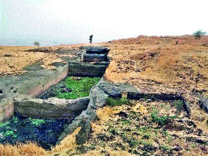  15 monkeys on water on the mountains | १५ माकडांना डोंगरावर जलसमाधी