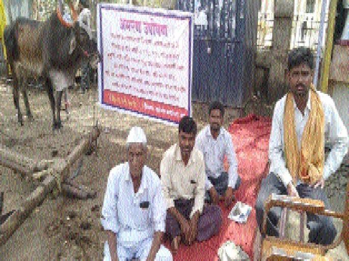 Bait for Yogurt, Fasting with Baroda | शेतरस्त्यासाठी बैल, बारदाण्यासह उपोषण Bait for Yogurt, Fasting with Baroda | शेतरस्त्यासाठी बैल, बारदाण्यासह उपोषण