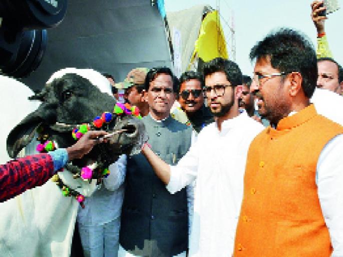 You can increase the supply of milk, make the market available to me | तुम्ही दुधाचा पुरवठा वाढवा, मार्केट मी उपलब्ध करून देतो You can increase the supply of milk, make the market available to me | तुम्ही दुधाचा पुरवठा वाढवा, मार्केट मी उपलब्ध करून देतो