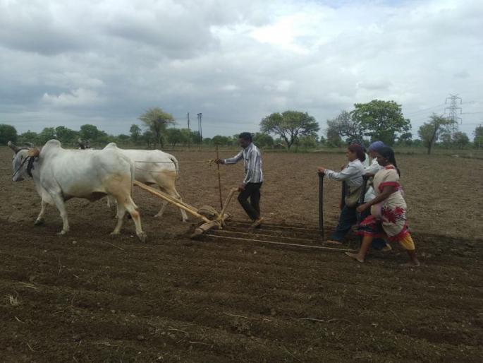 In Gondia district, tired farmers were stuck in the pond | गोंदिया जिल्ह्यात चुकारे थकले शेतकरी अडले In Gondia district, tired farmers were stuck in the pond | गोंदिया जिल्ह्यात चुकारे थकले शेतकरी अडले