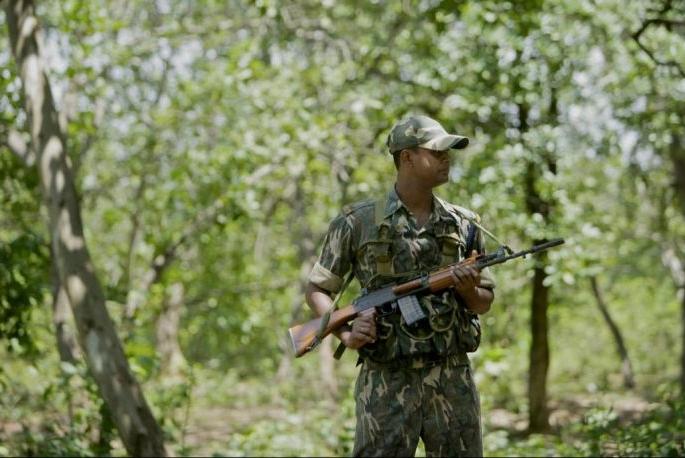 On Maharashtra-Chhattisgarh border Seven Naxals killed | महाराष्ट्र-छत्तीसगडच्या सीमेवर चकमक; सात नक्षली ठार On Maharashtra-Chhattisgarh border Seven Naxals killed | महाराष्ट्र-छत्तीसगडच्या सीमेवर चकमक; सात नक्षली ठार