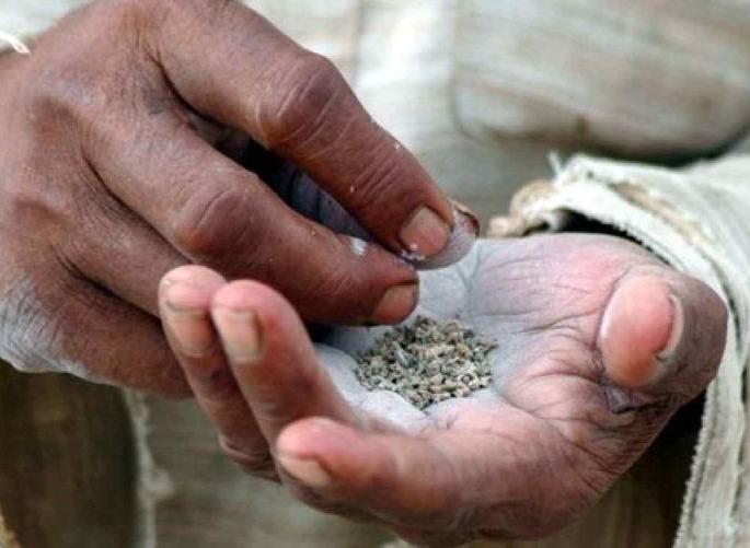 Illegal transactions in millions of illegal smoked tobacco in Nagpur | नागपुरात प्रतिबंधित सुगंधित तंबाखूची लाखोंची अवैध उलाढाल Illegal transactions in millions of illegal smoked tobacco in Nagpur | नागपुरात प्रतिबंधित सुगंधित तंबाखूची लाखोंची अवैध उलाढाल