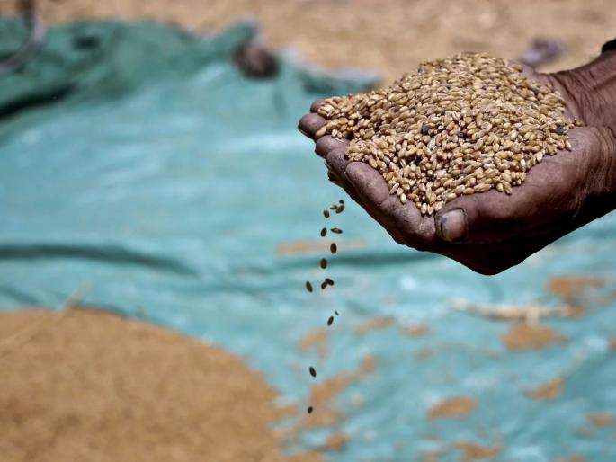 A case has been registered in Yavatmal district on an old man who took twice ration on the card | शिधापत्रिकेवर दोनदा धान्य घेणाऱ्या वृद्धेवर यवतमाळ जिल्ह्यात गुन्हा दाखल A case has been registered in Yavatmal district on an old man who took twice ration on the card | शिधापत्रिकेवर दोनदा धान्य घेणाऱ्या वृद्धेवर यवतमाळ जिल्ह्यात गुन्हा दाखल