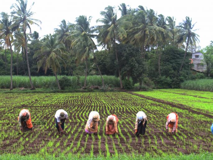 Rain is never happy with farmers! | पावसाने शेतकऱ्यांमध्ये कभी खुशी कभी गम, पेरण्या खोळंबल्या Rain is never happy with farmers! | पावसाने शेतकऱ्यांमध्ये कभी खुशी कभी गम, पेरण्या खोळंबल्या