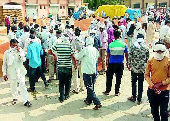 Market committee crowds rally farmers | बाजार समिती आवारात शेतकऱ्यांची तोबा गर्दी Market committee crowds rally farmers | बाजार समिती आवारात शेतकऱ्यांची तोबा गर्दी