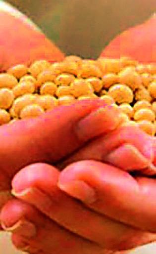 12 million soybean granaries available | सोयाबीन अनुदानाचे १२ कोटी उपलब्ध 12 million soybean granaries available | सोयाबीन अनुदानाचे १२ कोटी उपलब्ध