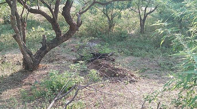 Due to lack of cemeteries in hundreds of villages in Amravati district, cremation takes place near rivers and streams | अमरावती जिल्ह्यातील शंभरावर गावांत स्मशानभूमीअभावी नदी-नाल्यांकाठी होतात अंत्यसंस्कार Due to lack of cemeteries in hundreds of villages in Amravati district, cremation takes place near rivers and streams | अमरावती जिल्ह्यातील शंभरावर गावांत स्मशानभूमीअभावी नदी-नाल्यांकाठी होतात अंत्यसंस्कार