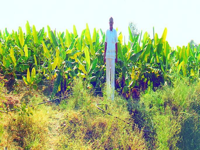 Teacher's farming | शिक्षकीपेशाकडून शेतीकडे Teacher's farming | शिक्षकीपेशाकडून शेतीकडे