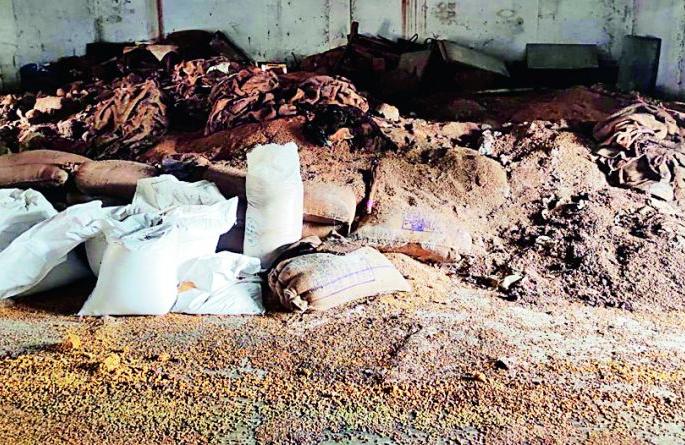 Wet grain in the flood is still lying in the warehouse | महापुरात ओले धान्य अद्यापही गोदामातच पडून
