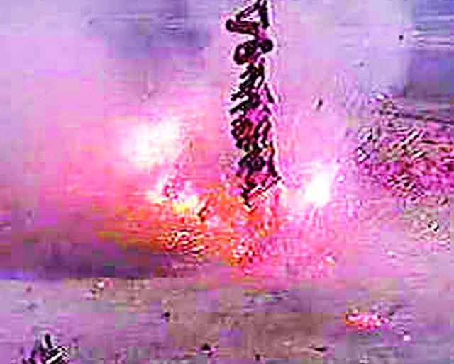 There are 500 authorized firecrackers in the district | जिल्ह्यात ५०० अधिकृत फटाका विक्रेते There are 500 authorized firecrackers in the district | जिल्ह्यात ५०० अधिकृत फटाका विक्रेते