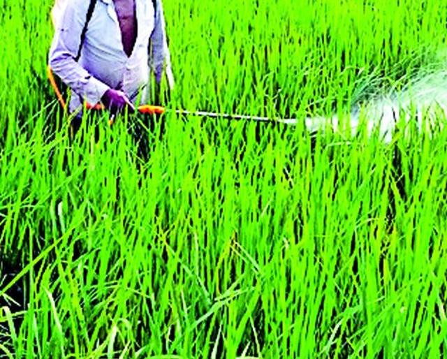 Farmers, take care when spraying! | शेतकऱ्यांनो, फवारणी करताना काळजी घ्या !