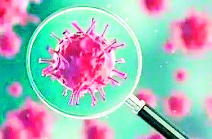 Only 36 caravans are active in the district | जिल्ह्यात केवळ 36 काेराेना ॲक्टिव्ह Only 36 caravans are active in the district | जिल्ह्यात केवळ 36 काेराेना ॲक्टिव्ह