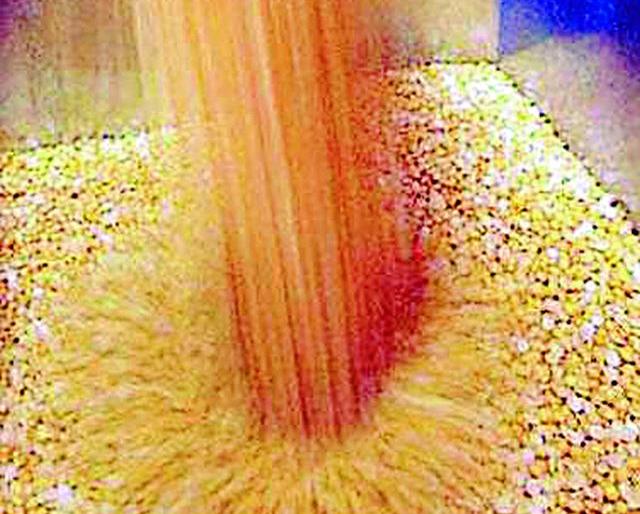 Cheaper foodgrains store now costs 35 rupees | आता स्वस्त धान्य दुकानातून ३५ रुपयाला तुरडाळ