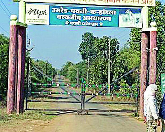 After the death of two tigers, the tourists spotted the lesson | दोन वाघांच्या मृत्यूनंतर पर्यटकांनी फिरविली पाठ After the death of two tigers, the tourists spotted the lesson | दोन वाघांच्या मृत्यूनंतर पर्यटकांनी फिरविली पाठ