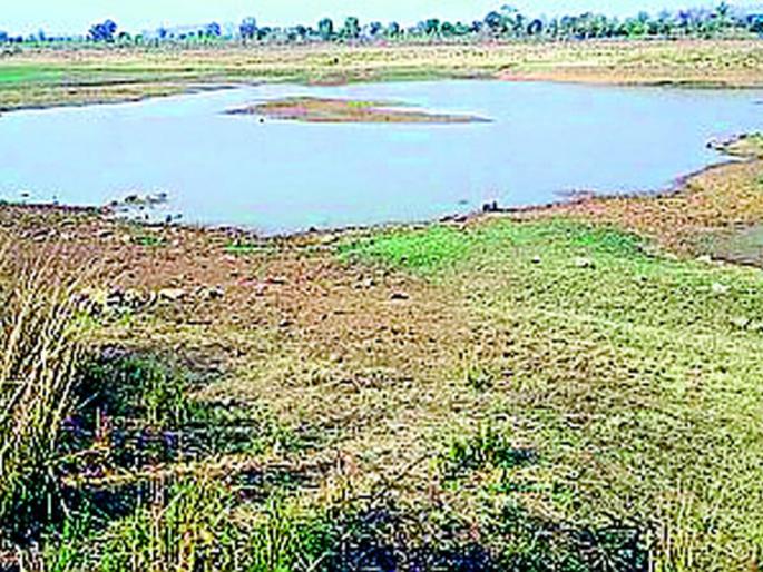 Wild animals quench their thirst on natural waters | नैसर्गिक पाणवठ्यावरच वन्यप्राणी भागवताहेत तहान Wild animals quench their thirst on natural waters | नैसर्गिक पाणवठ्यावरच वन्यप्राणी भागवताहेत तहान