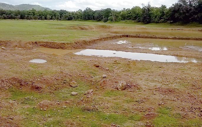 Coca Wildlife Sanctuary, drains, drying | कोका वन्यजीव अभयारण्यातील नाले, वनतलाव कोरडे