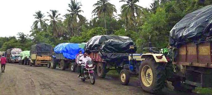 In Buldana district, maize of 15,000 farmers at home | बुलडाणा जिल्ह्यात १५ हजार शेतकऱ्यांचा मका घरात पडून In Buldana district, maize of 15,000 farmers at home | बुलडाणा जिल्ह्यात १५ हजार शेतकऱ्यांचा मका घरात पडून